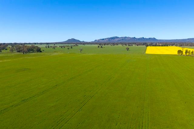 1174 Northern Grampians Road, VIC 3401