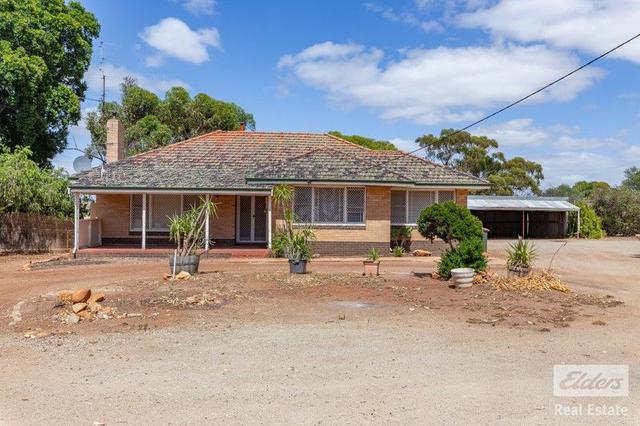 99 Goomalling Road, WA 6401