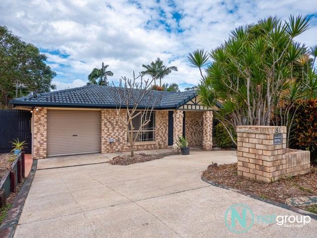81 Gordonia Drive, QLD 4118