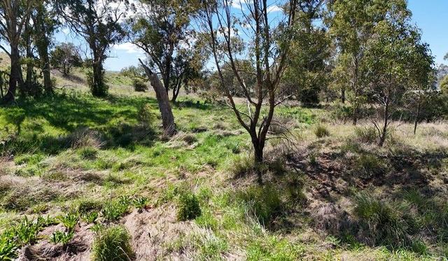 Lot 52 New England Highway, NSW 2337