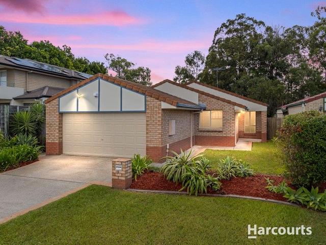 58 Candytuft Place, QLD 4116