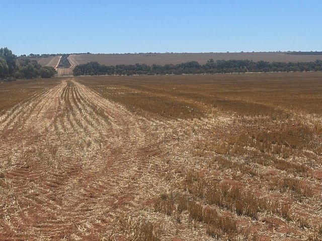 727 Tenindewa Road North, WA 6632