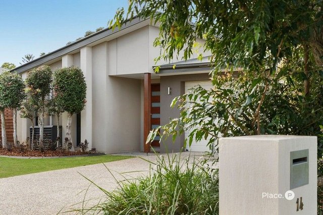 14 Griffin Place, QLD 4014
