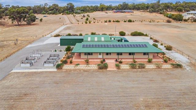 20 View Street, WA 6562