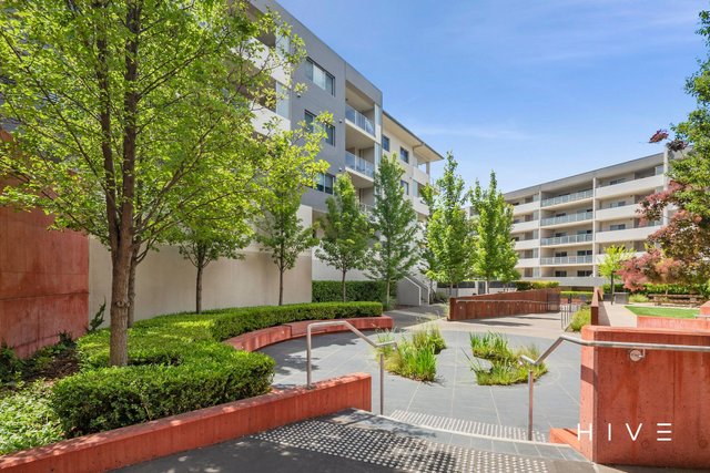 268/36 Philip Hodgins Street, ACT 2611