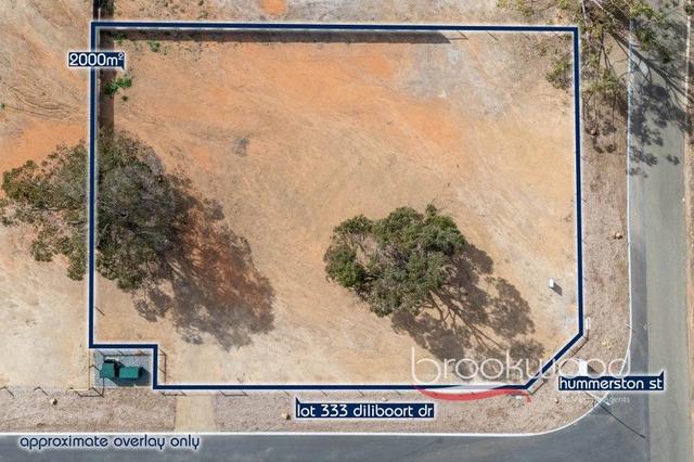 Prop. Lot 333 Diliboort Drive, WA 6082