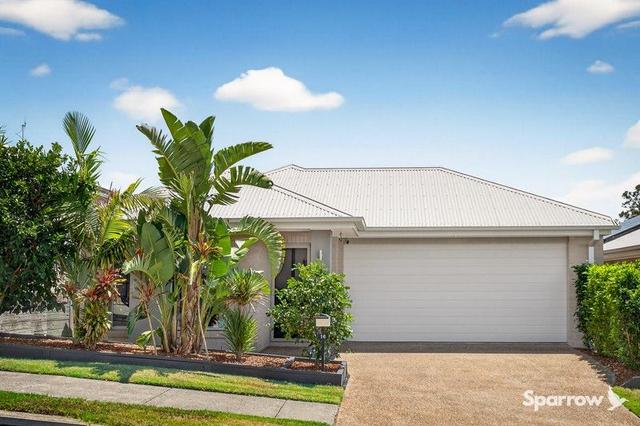 16 Honeyeater Street, QLD 4207