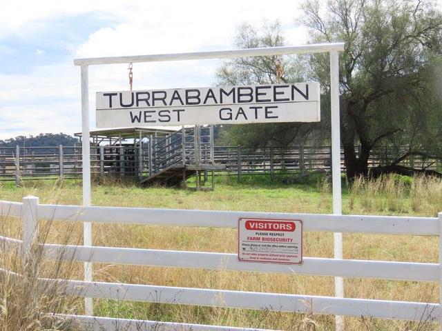 "Turrabambeen" Crow Mountain, NSW 2346