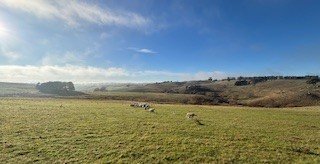 1185 Golspie Road, NSW 2580