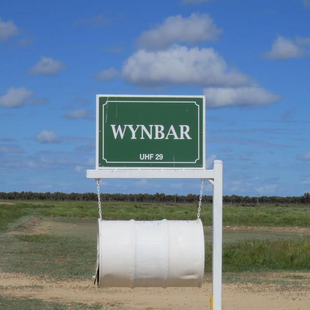 Wynbar, NSW 2838