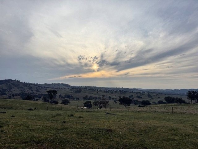 1883 Queens Pinch Road, NSW 2850