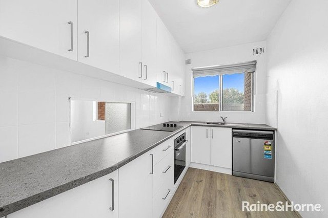 6/24 Chelmsford Avenue, NSW 2019