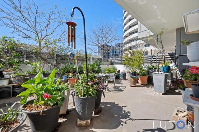 4/39 Chandler Street, ACT 2617