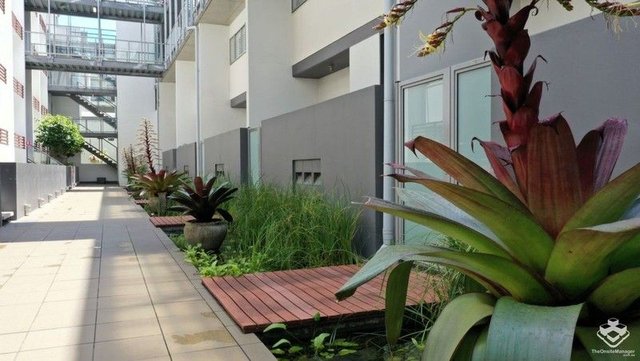 ID:21166036/1 Ella Street, QLD 4006