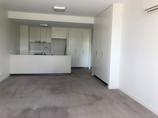 Standard Photo