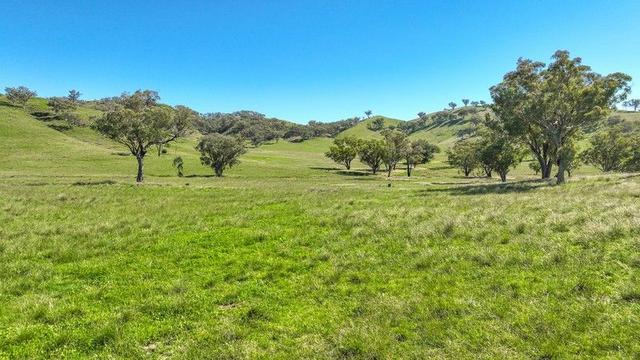 'East Lynne' Glen Barra Road, NSW 2346