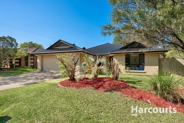 21 Brushbox Crescent, QLD 4109