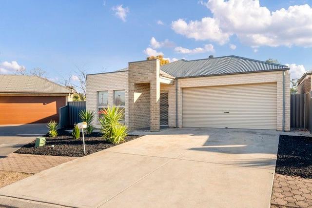 47 Thorne Street, SA 5108