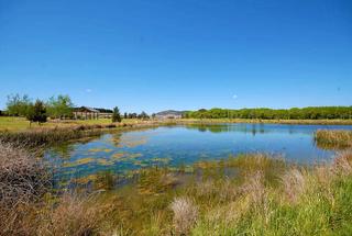 Elmslea Ponds