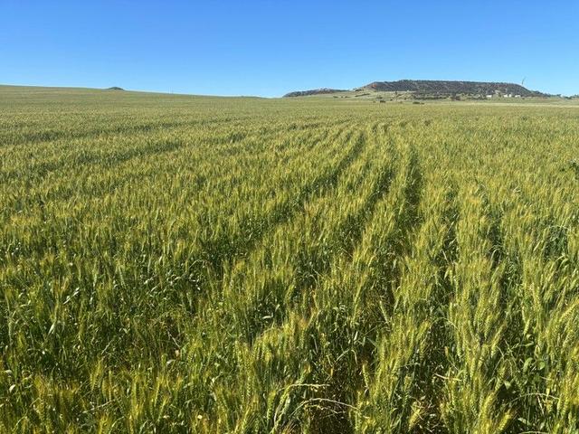 Lot 1914 Minnenooka Road, WA 6532