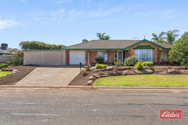 3 Candlebark Court, SA 5114