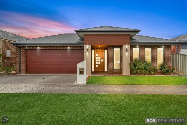 12 Tallgrass Avenue, VIC 3029