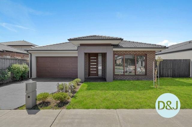 3 Stockfield Avenue, VIC 3978