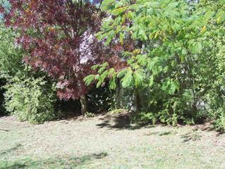 Front Courtyard