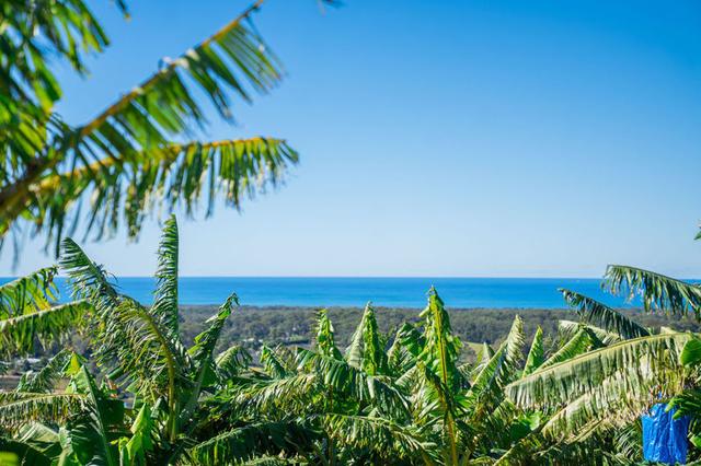 20 Puhos Road, NSW 2456