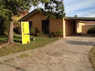 Front View
