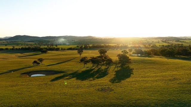 319 Tinja  Lane, NSW 2850