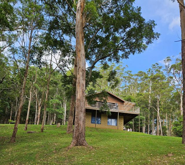 60 Hillandale Road, NSW 2535