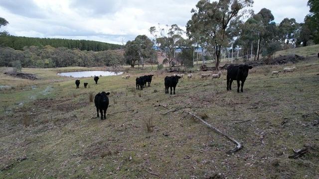 Lots 1, 4, 7 Glenroy Hills Road, NSW 2653