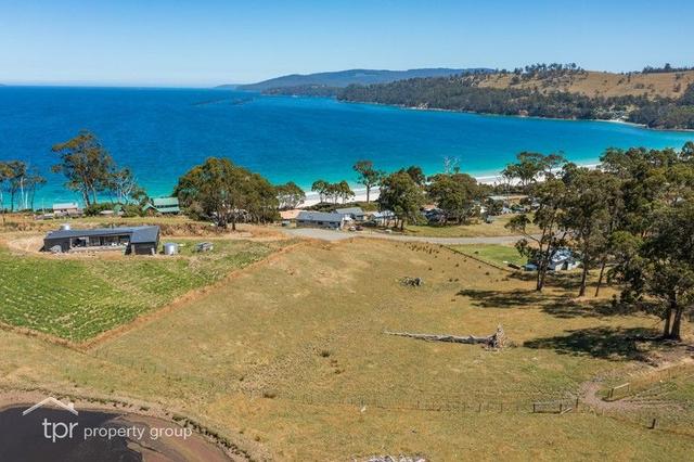 69 Dunn Drive, TAS 7116