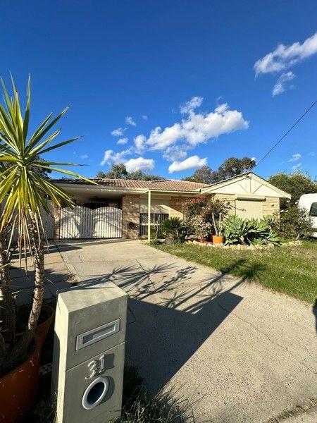 31 Parakeela Grove, WA 6109