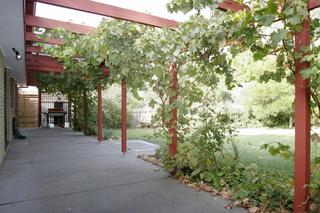 Pergola