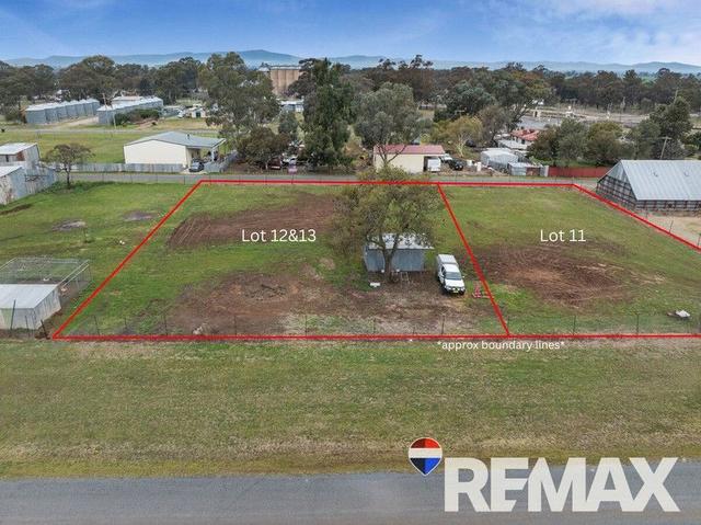 12 & 13/17 Commins Street, NSW 2590