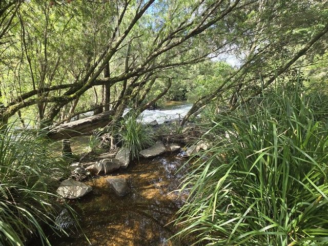 52 Greenhills Rd, NSW 2447