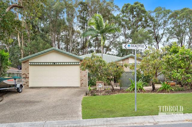 11 Eucalyptus Court, QLD 4157