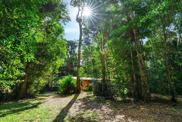 436 Oak Forest Road, QLD 4881