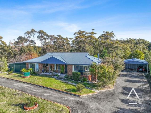 10 View Street, TAS 7216