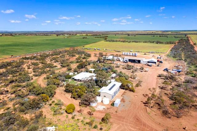 2451 Mullewa-Wubin Road, WA 6630