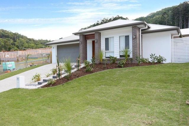 19 Hoop Pine Circuit, QLD 4210