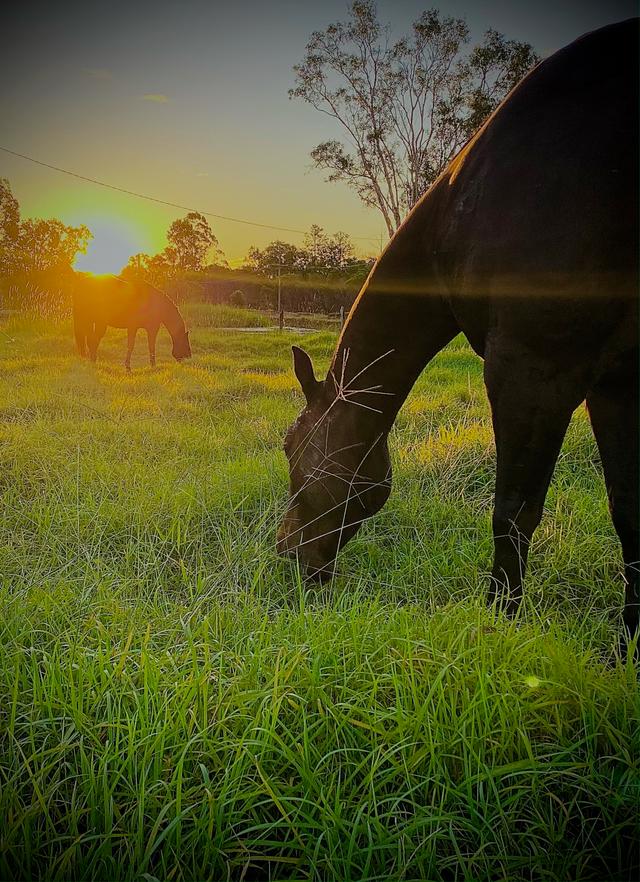 32 Tableland Road, QLD 4655