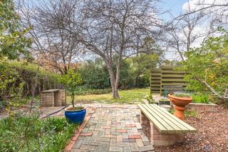 Back Yard (2019-11-11)