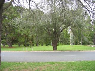 View of street