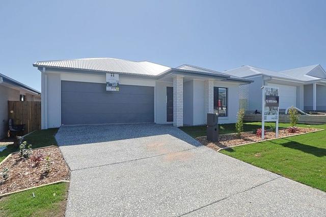 100 Waratah Circuit, QLD 4124
