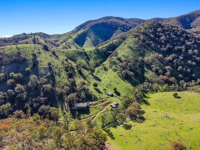 53 Peach Tree Lane, NSW 2850