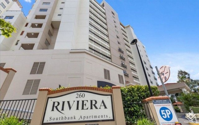 ID:21166542/260 Vulture Street, QLD 4101