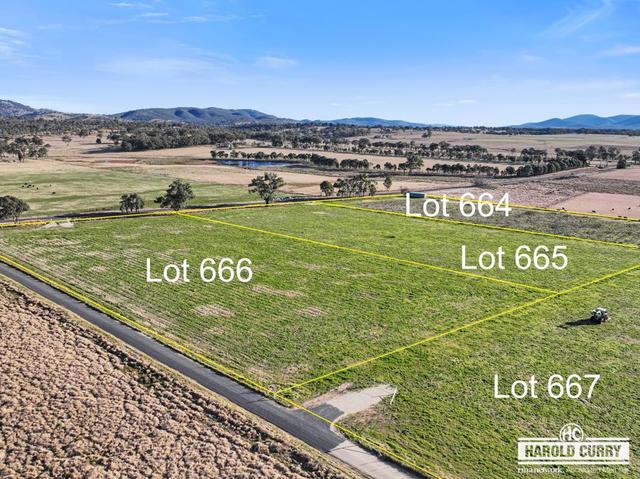 970 Bruxner Way, NSW 2372